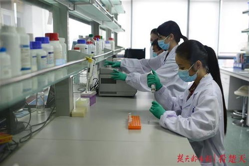 光谷生物企业获十三五 国家重大新药创制科技重大专项 支持,助力中国生物医药领域自主创新